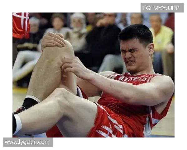 姚明PE鞋的独特魅力与篮球文化的完美结合探秘